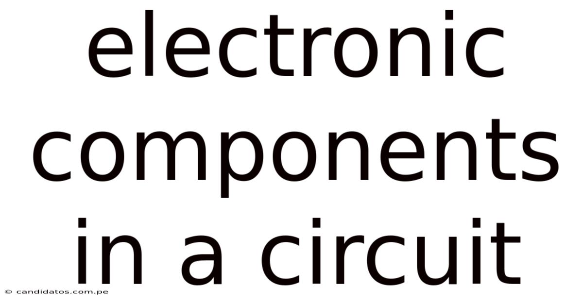 Electronic Components In A Circuit