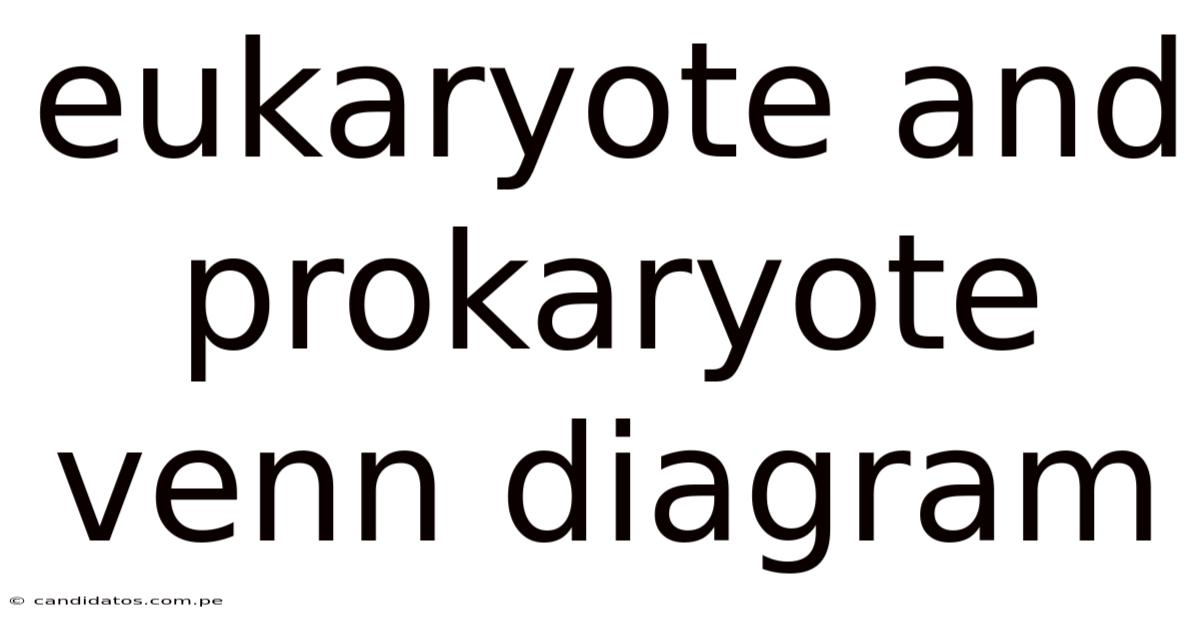 Eukaryote And Prokaryote Venn Diagram