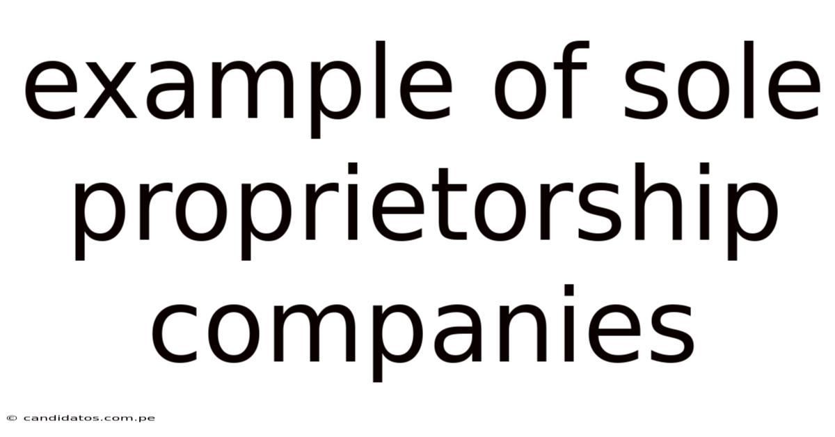 Example Of Sole Proprietorship Companies