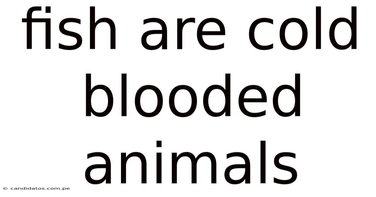 Fish Are Cold Blooded Animals