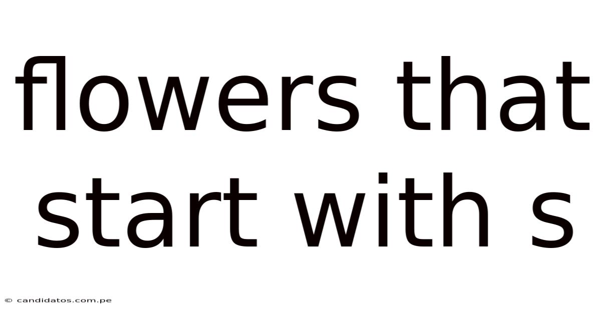 Flowers That Start With S