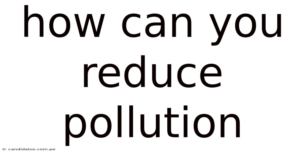 How Can You Reduce Pollution
