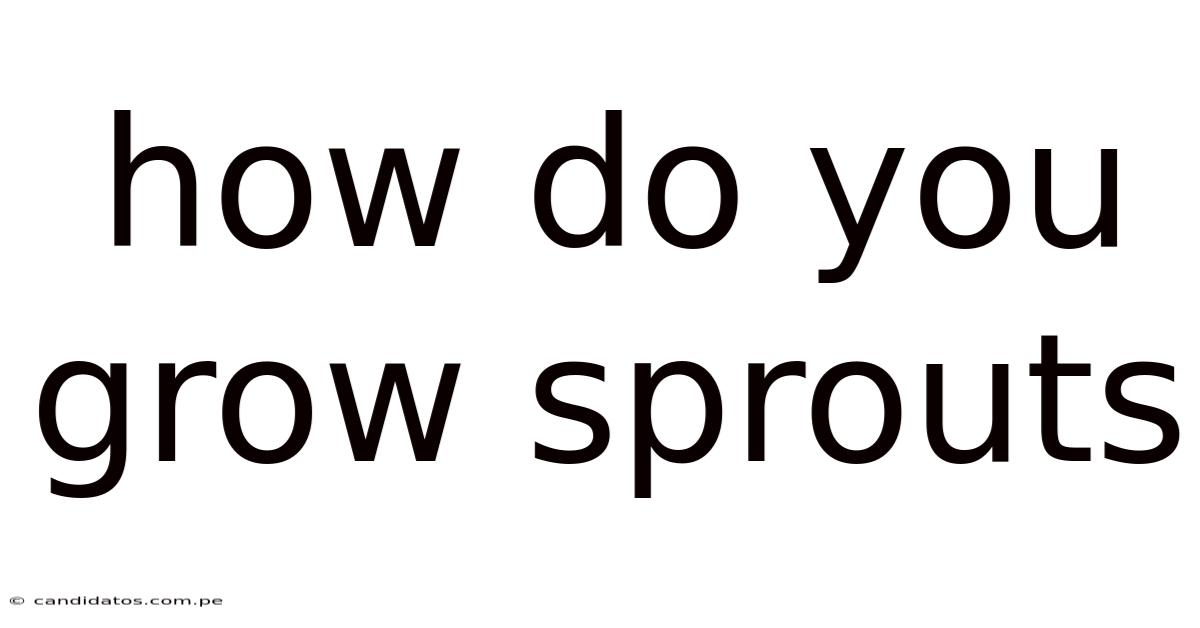 How Do You Grow Sprouts