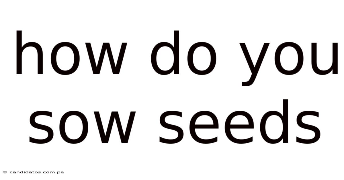 How Do You Sow Seeds