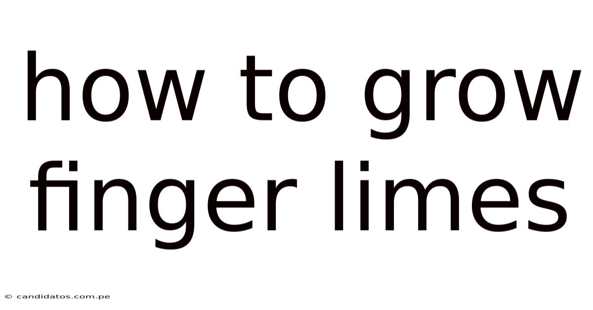 How To Grow Finger Limes