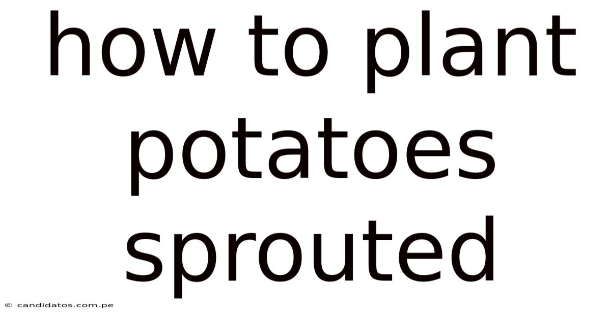 How To Plant Potatoes Sprouted