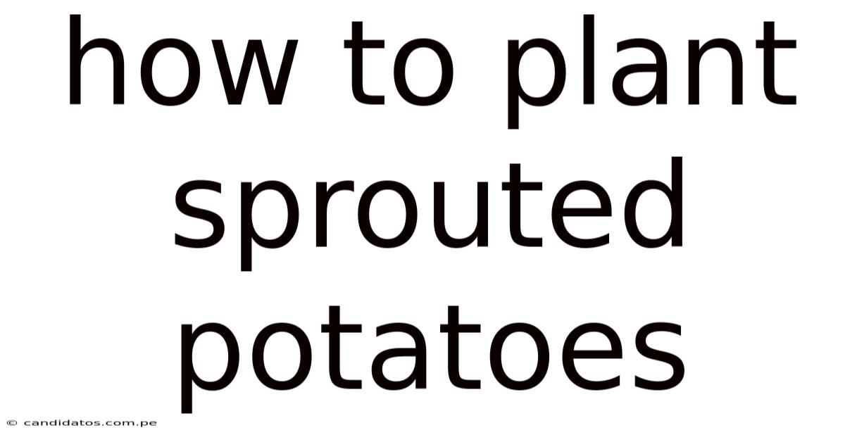 How To Plant Sprouted Potatoes