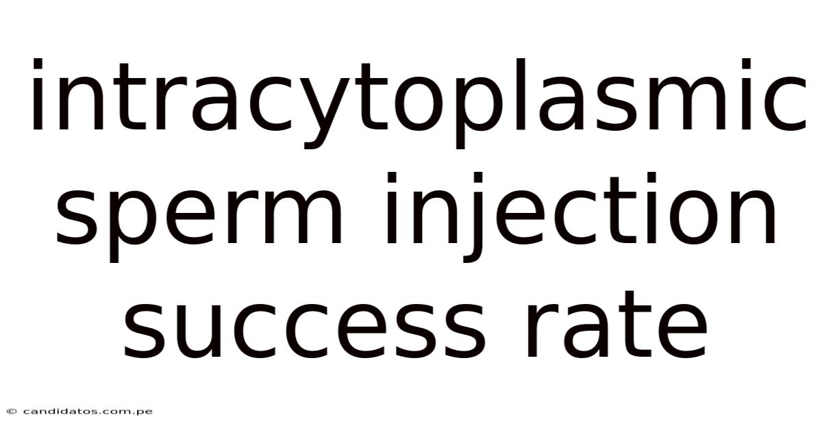 Intracytoplasmic Sperm Injection Success Rate