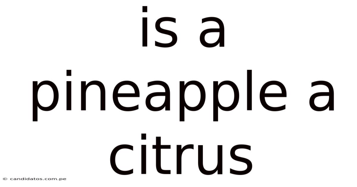 Is A Pineapple A Citrus
