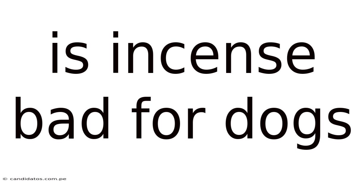 Is Incense Bad For Dogs