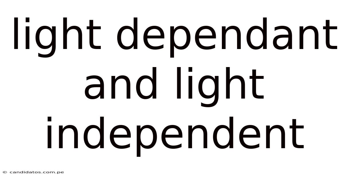 Light Dependant And Light Independent