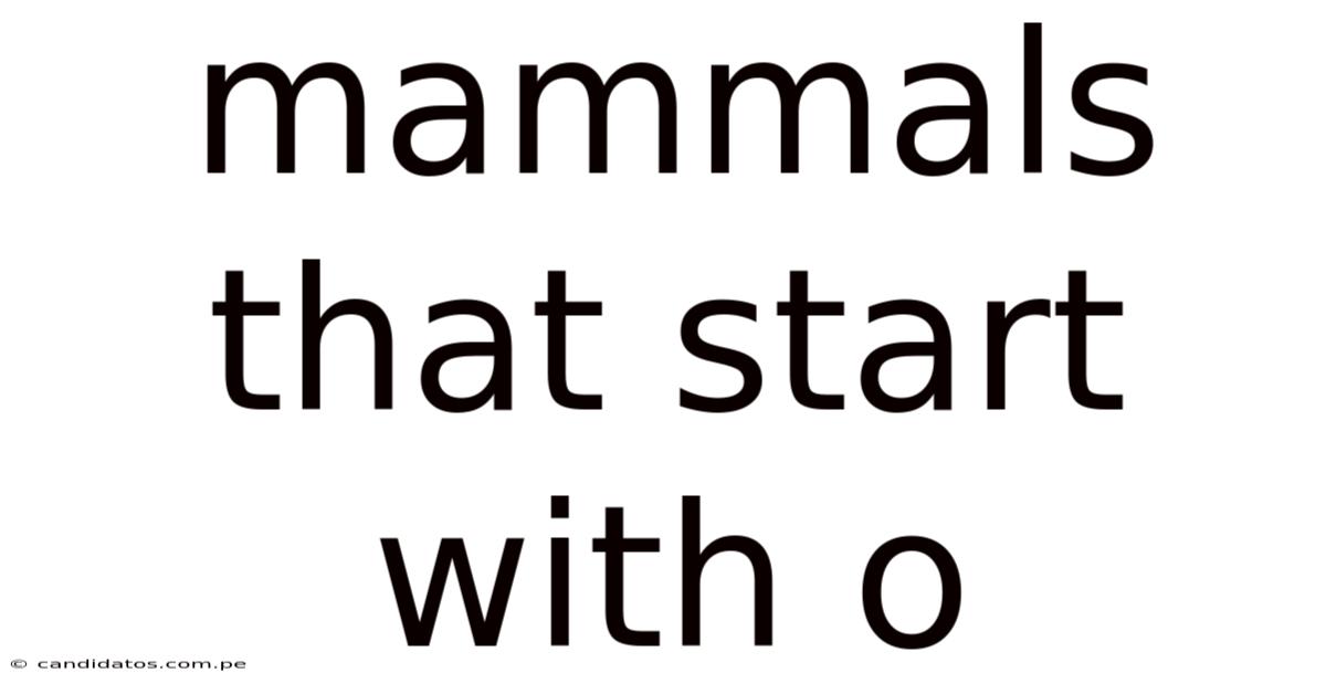 Mammals That Start With O