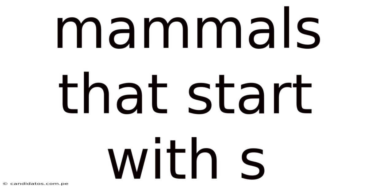 Mammals That Start With S