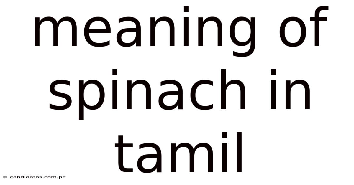 Meaning Of Spinach In Tamil