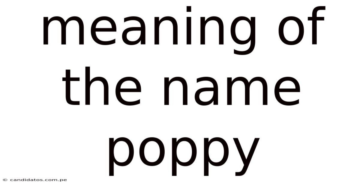 Meaning Of The Name Poppy