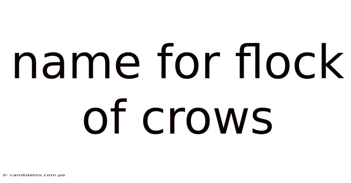 Name For Flock Of Crows