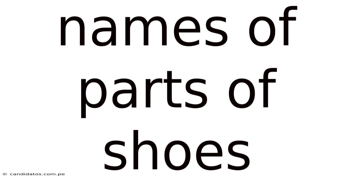 Names Of Parts Of Shoes