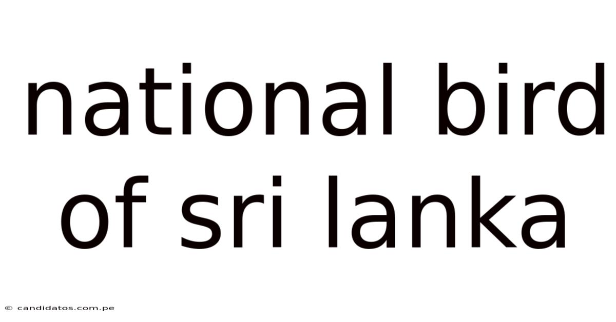 National Bird Of Sri Lanka