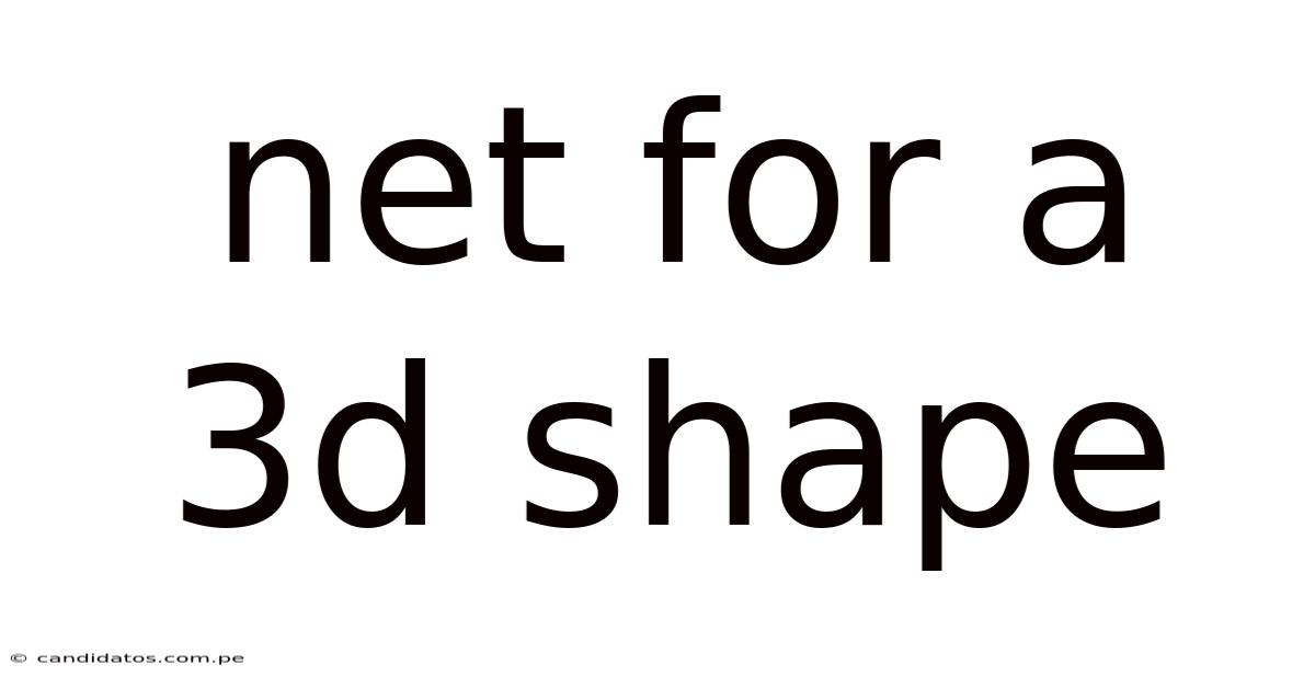 Net For A 3d Shape