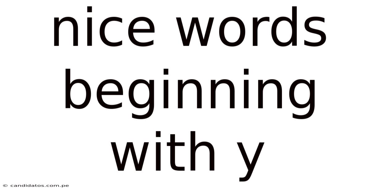 Nice Words Beginning With Y