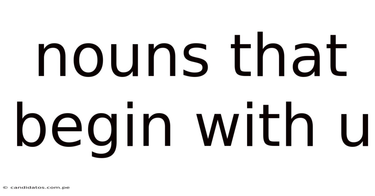 Nouns That Begin With U