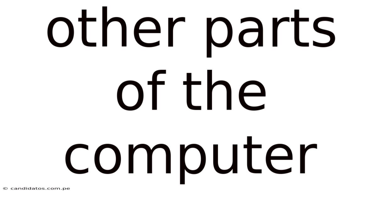 Other Parts Of The Computer