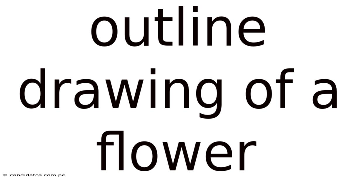 Outline Drawing Of A Flower