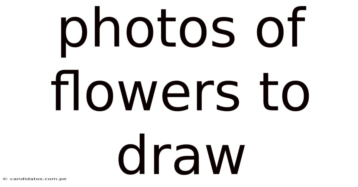 Photos Of Flowers To Draw