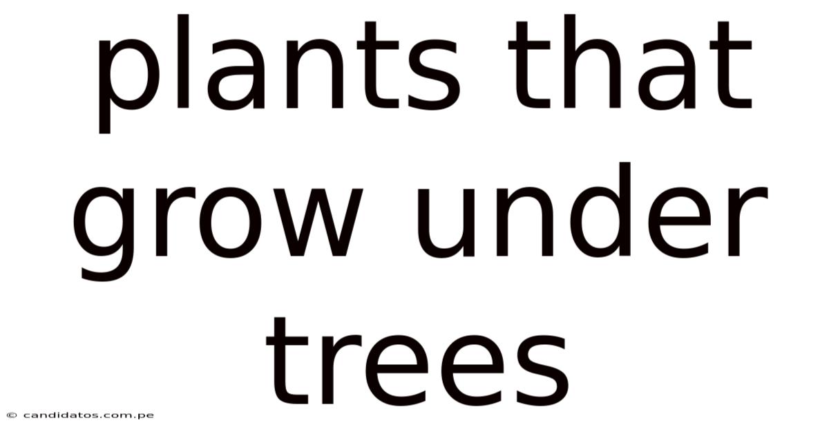 Plants That Grow Under Trees
