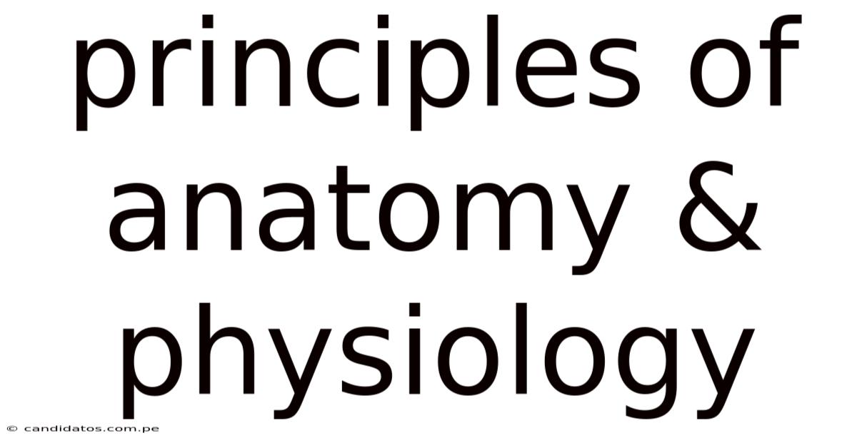 Principles Of Anatomy & Physiology