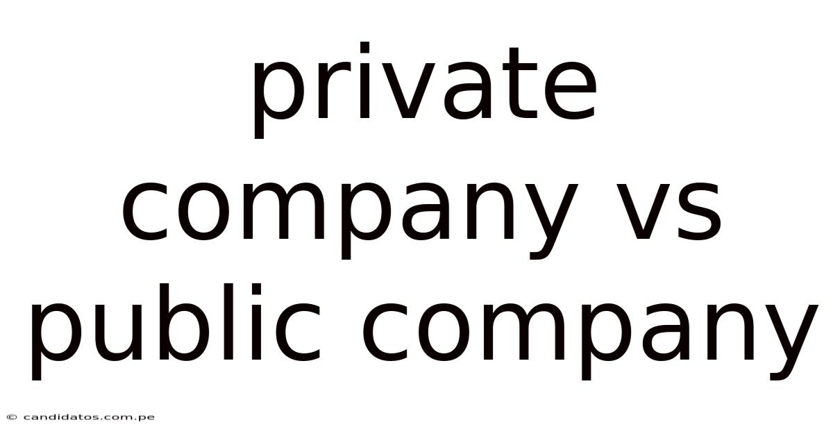 Private Company Vs Public Company