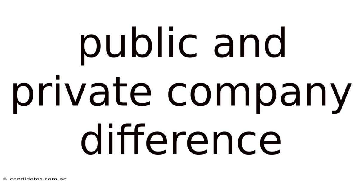 Public And Private Company Difference