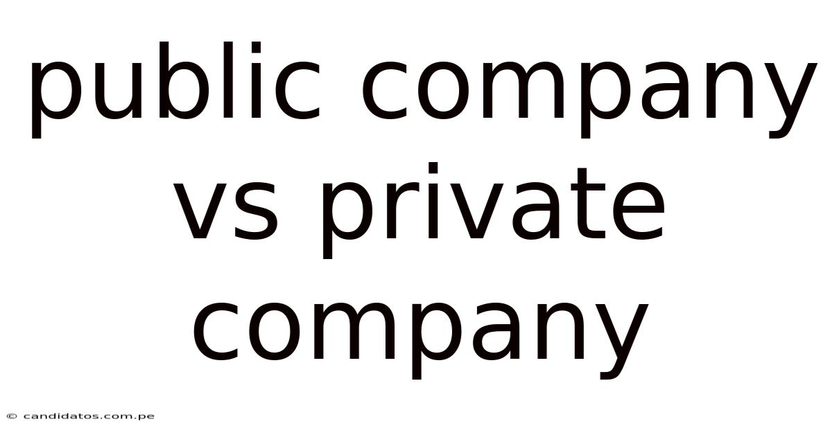 Public Company Vs Private Company