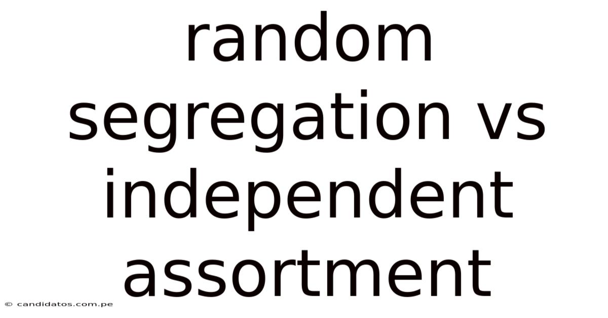 Random Segregation Vs Independent Assortment