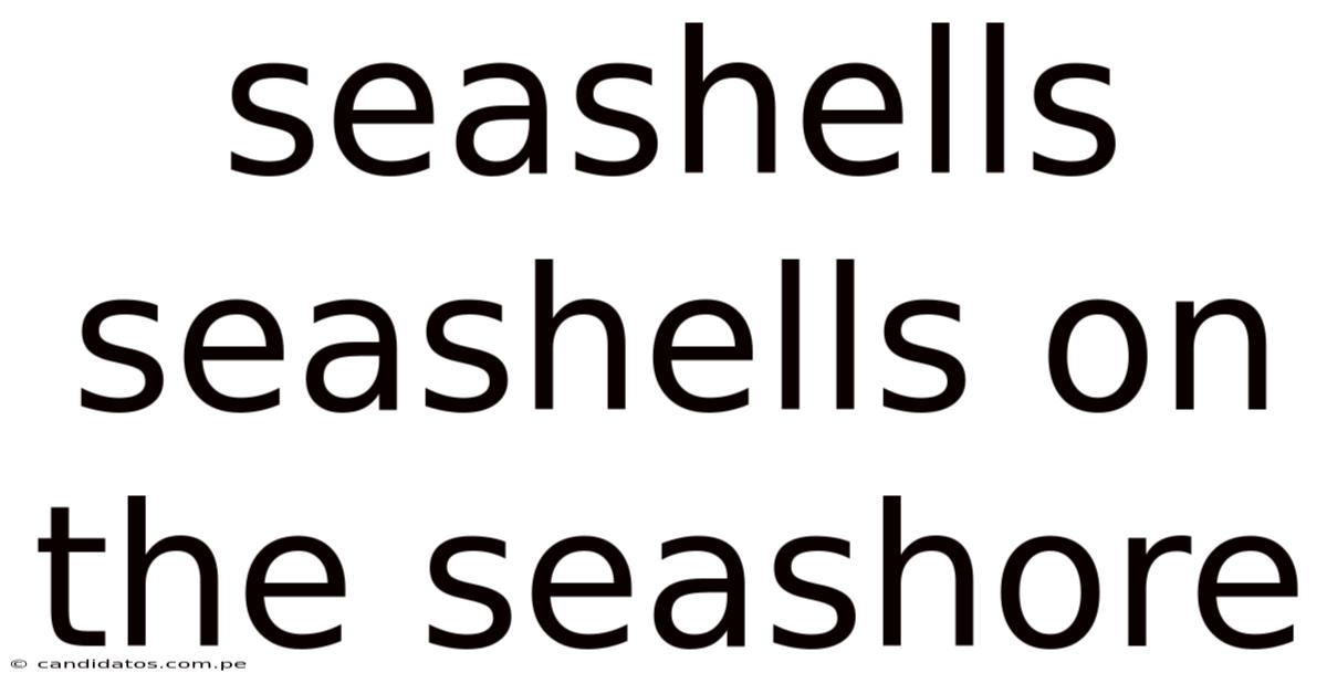 Seashells Seashells On The Seashore