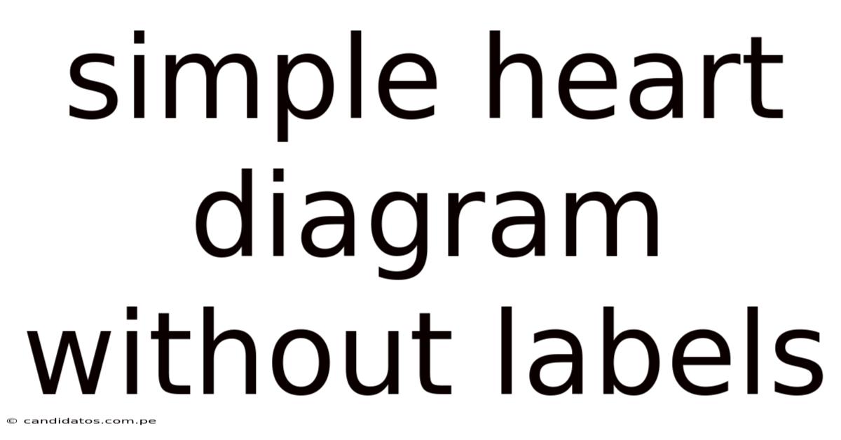 Simple Heart Diagram Without Labels