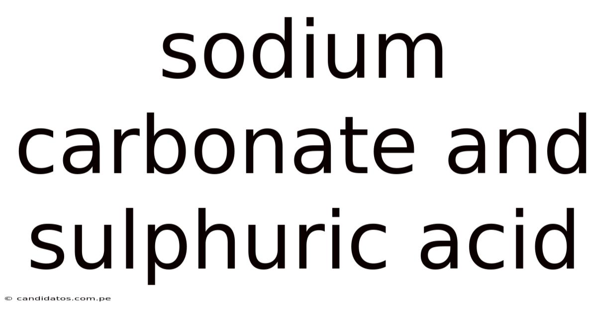 Sodium Carbonate And Sulphuric Acid
