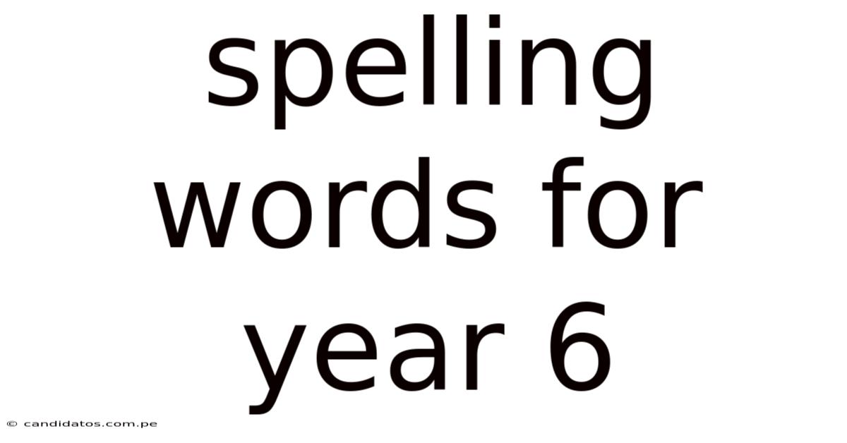 Spelling Words For Year 6