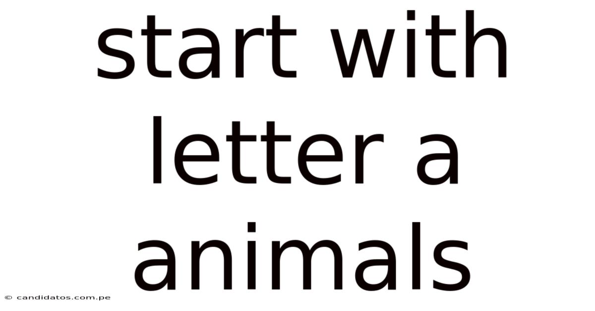 Start With Letter A Animals