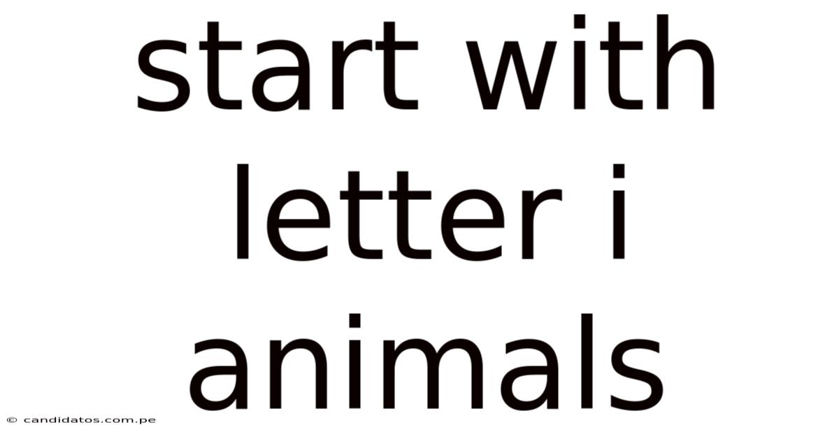 Start With Letter I Animals