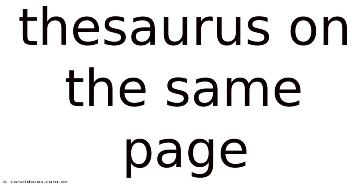 Thesaurus On The Same Page