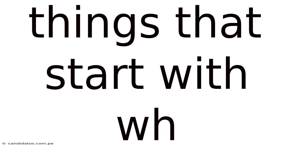 Things That Start With Wh
