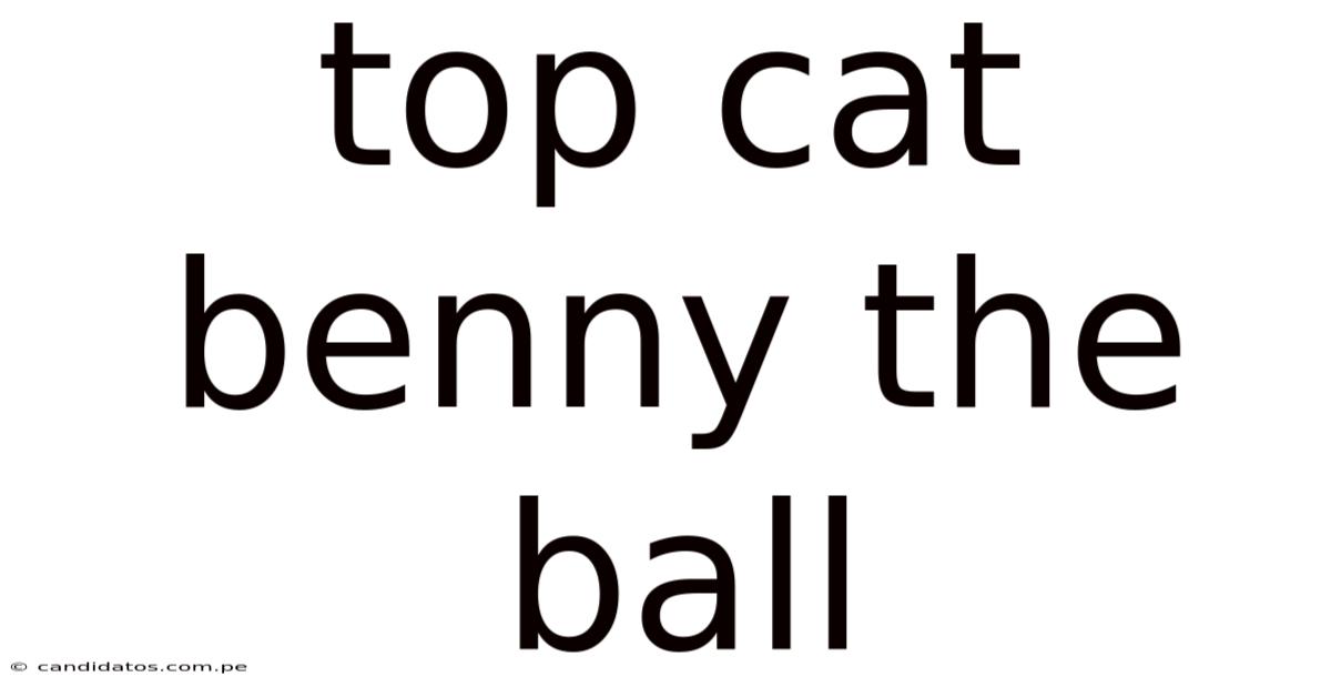 Top Cat Benny The Ball
