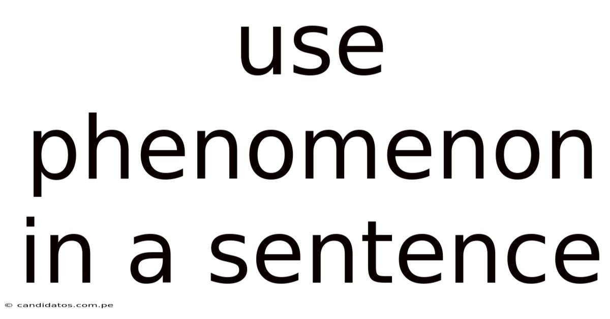 Use Phenomenon In A Sentence