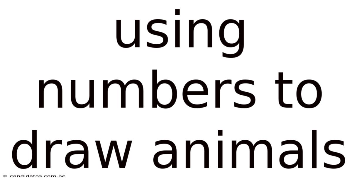 Using Numbers To Draw Animals