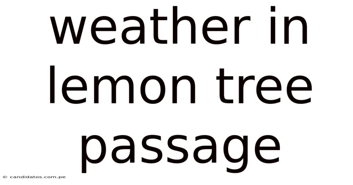 Weather In Lemon Tree Passage