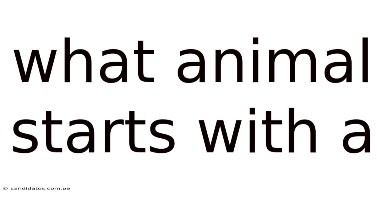 What Animal Starts With A