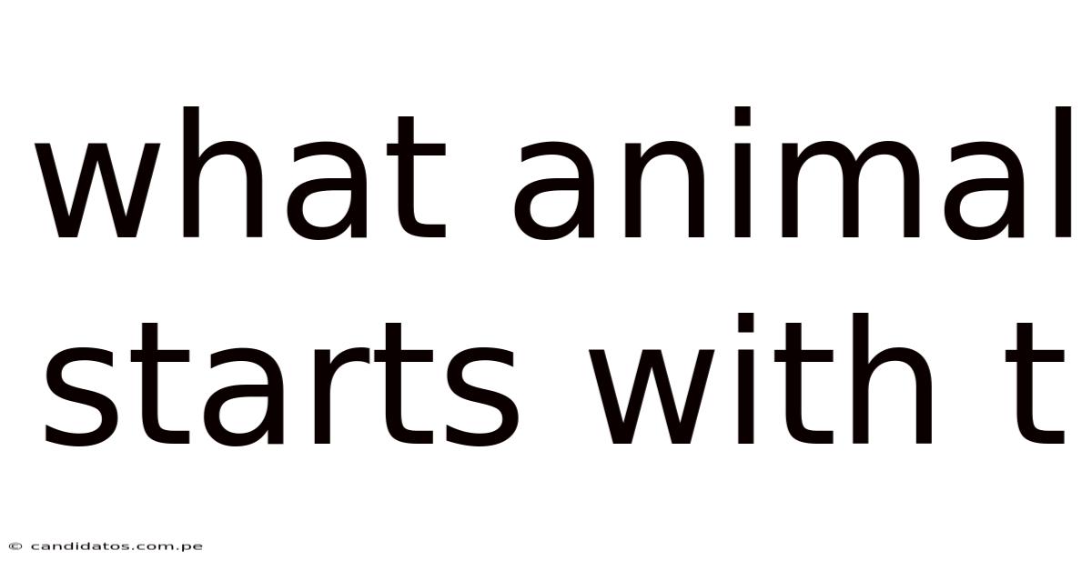 What Animal Starts With T
