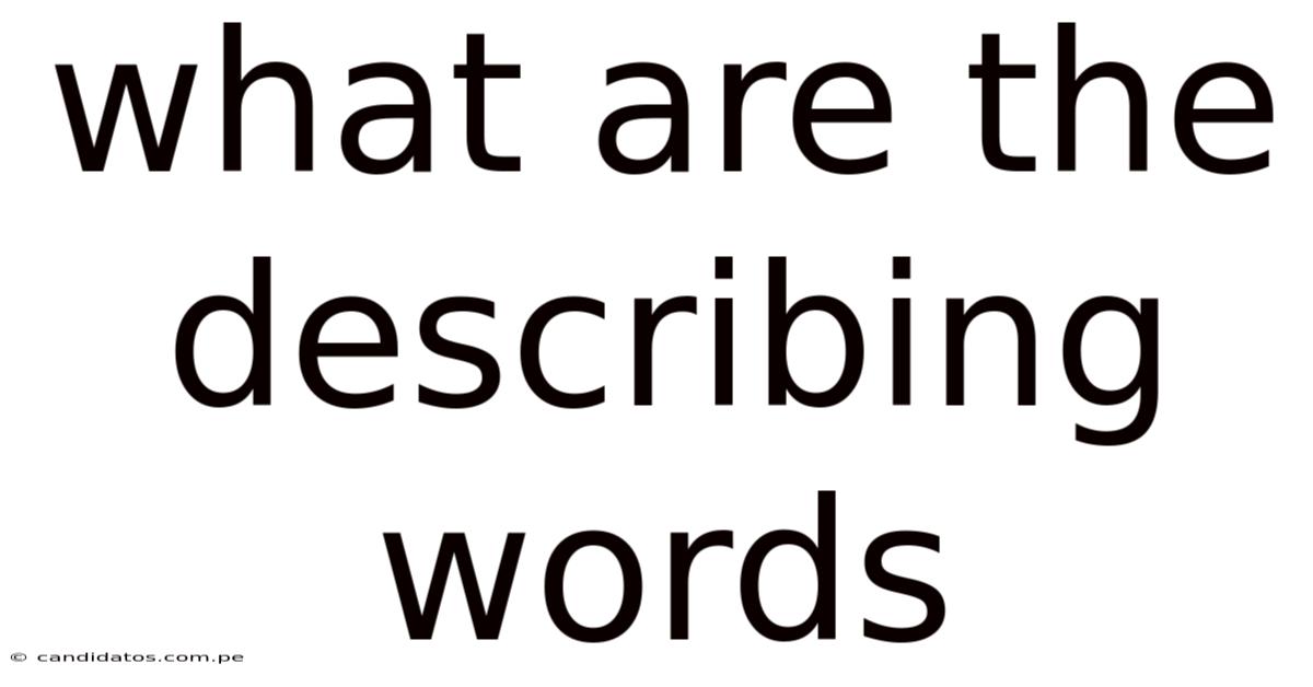 What Are The Describing Words