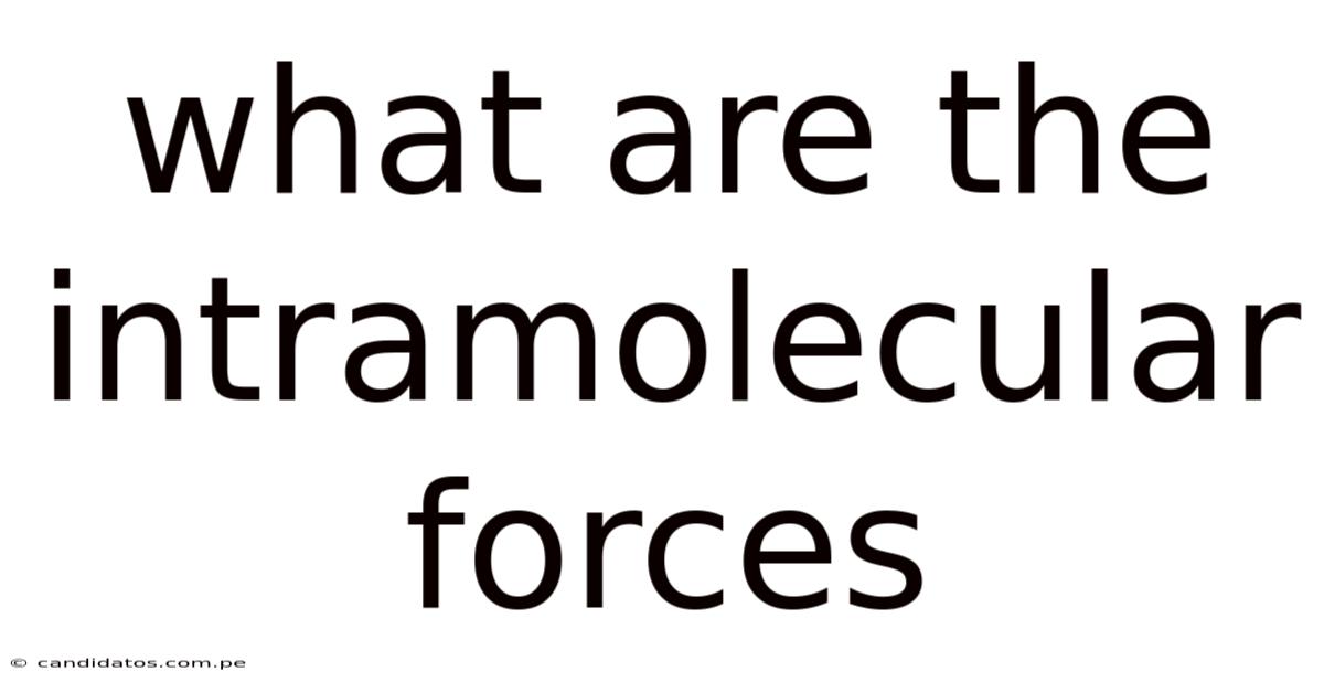 What Are The Intramolecular Forces